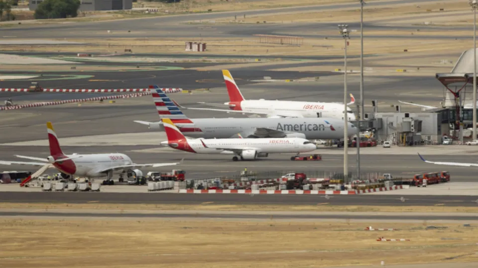 Bird strike halts flight in Spain