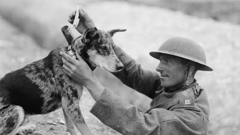 A pictorial journey through the First World War