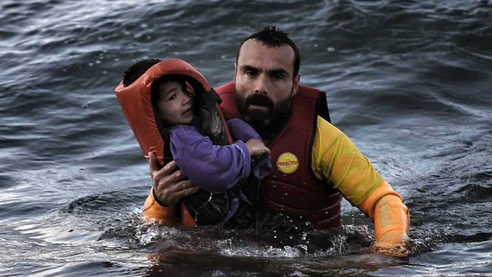 These are the biggest migration routes in the world