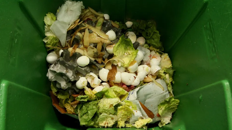 Food parts you really shouldn't be throwing away