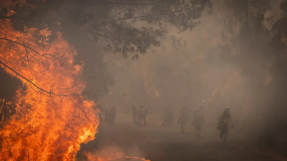 Firefighter dies as record wildfires rage in Spain