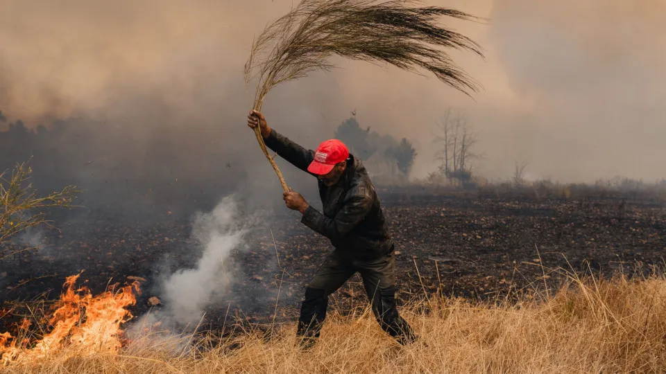 Europe ablaze: explosive wildfire season and its health toll