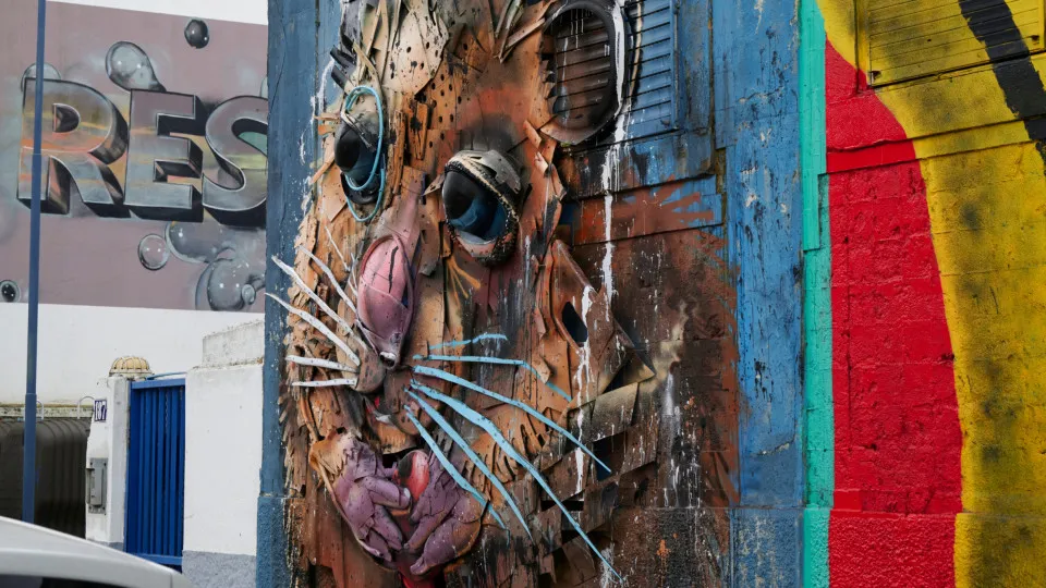 Ways the animal kingdom is celebrated in artform