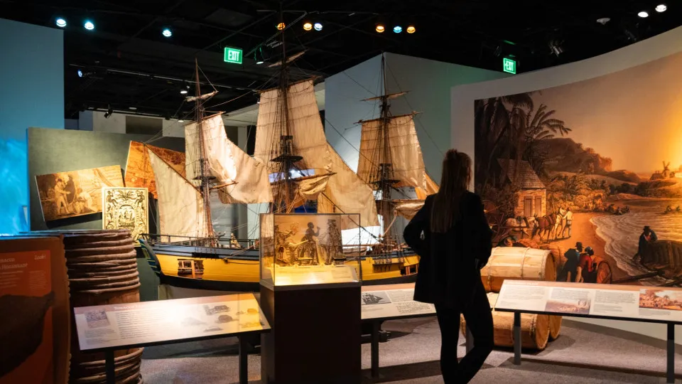 A brief history of the Smithsonian Institution