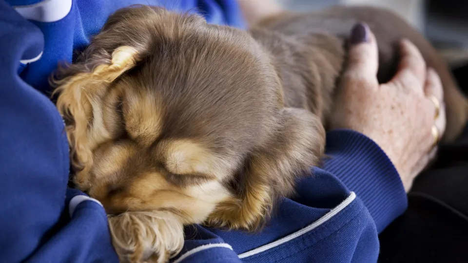 Having a hard time waking up today? You're not alone
