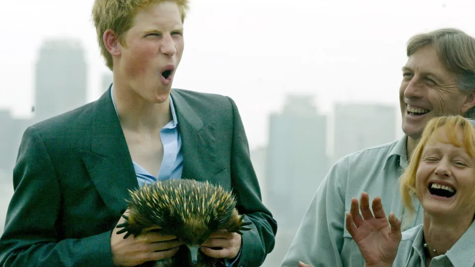 Prank calls, and other hilarious royal moments