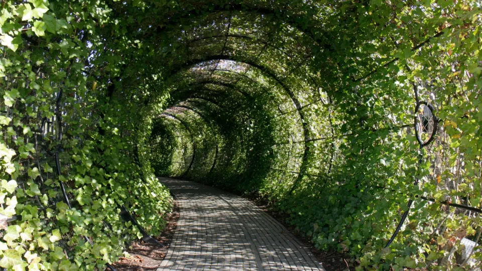 Inside the world's deadliest garden