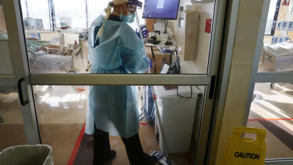 Les autorités sanitaires alertent sur la propagation "rapide" d'un champignon résistant aux médicaments dans les hôpitaux européens