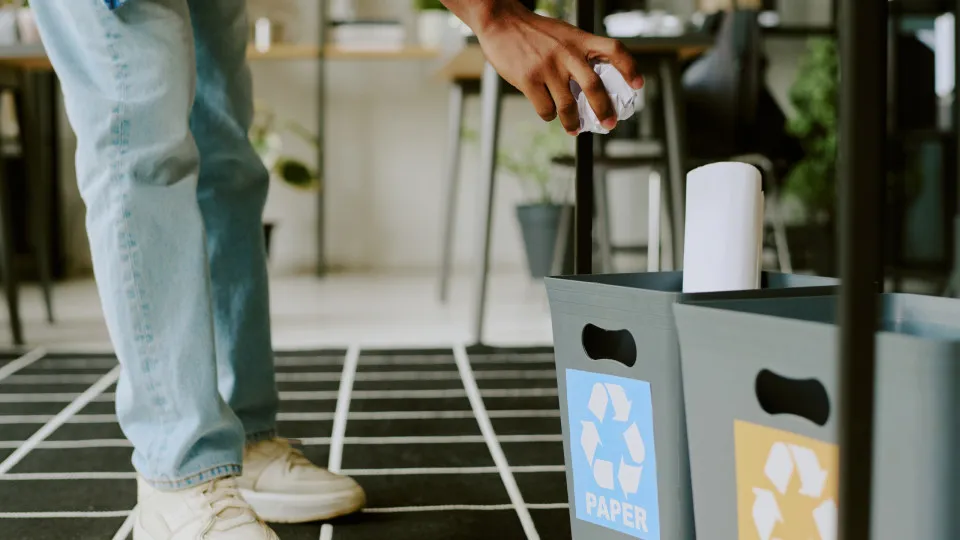 So wird Ihr Arbeitsplatz eine umweltfreundliche Oase