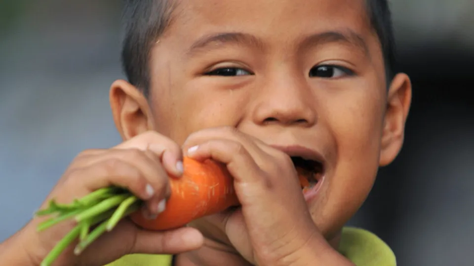 The biggest lies you were told as a kid that you still believe