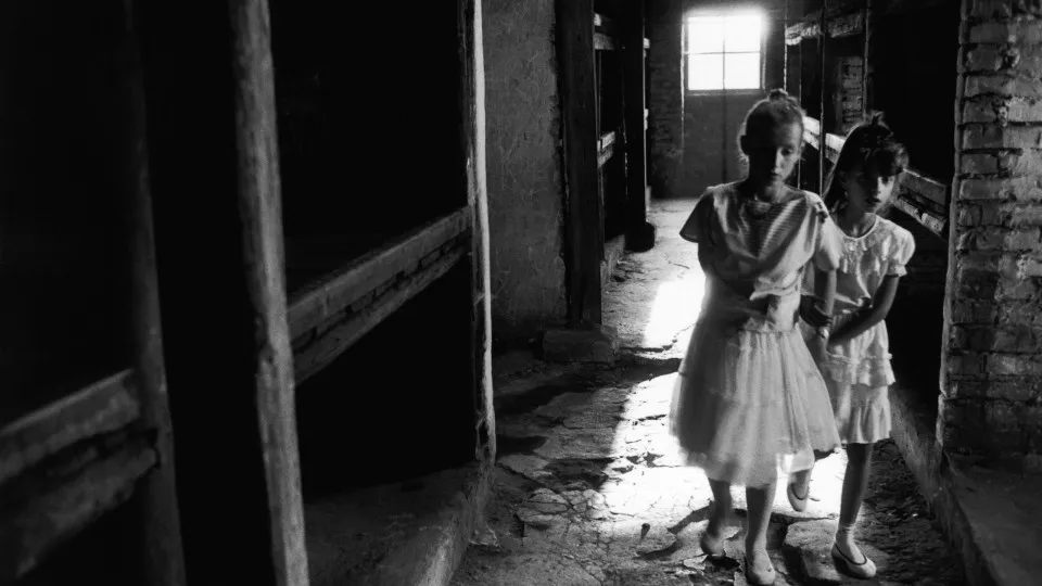 Wie Musik einem Mädchen in Auschwitz das Leben rettete