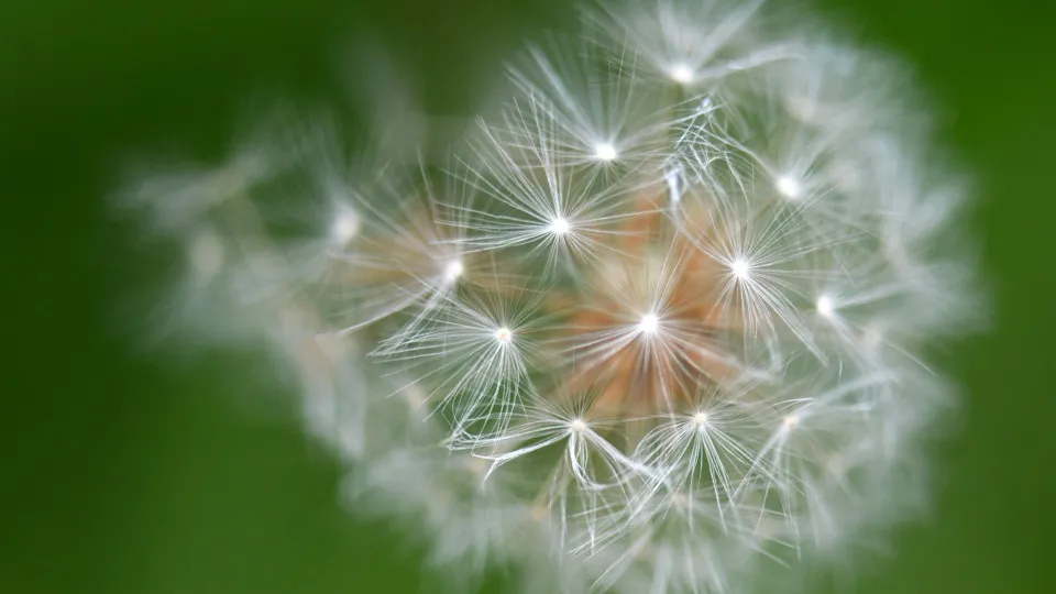 The weirdest things ever found inside the human body