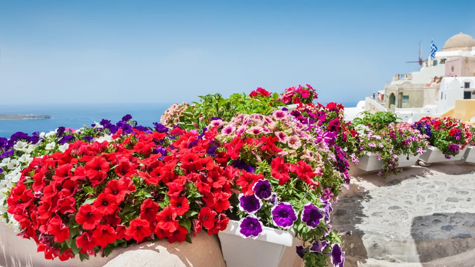 What typical gardens look like around the world
