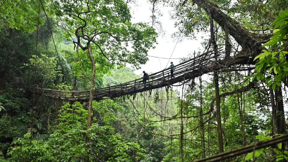 30 stunning natural wonders to visit in India