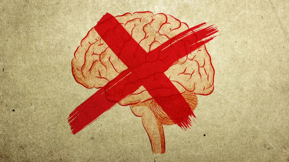 What is the Theory of Stupidity?