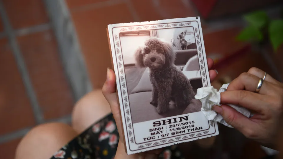 Should you be allowed time off work to grieve for a pet?