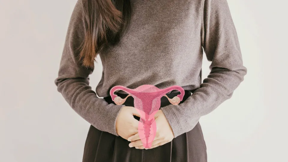 How the menstrual cycle can reshape the brain