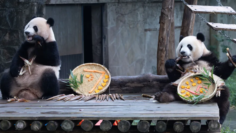 Secrets zoos don't want you to know about