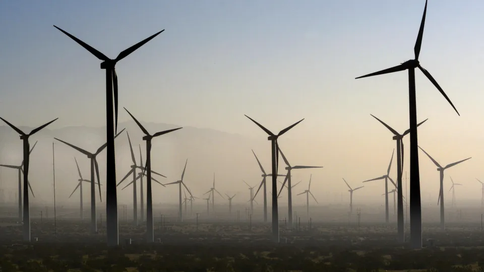 Unexpected consequences of adopting a green lifestyle
