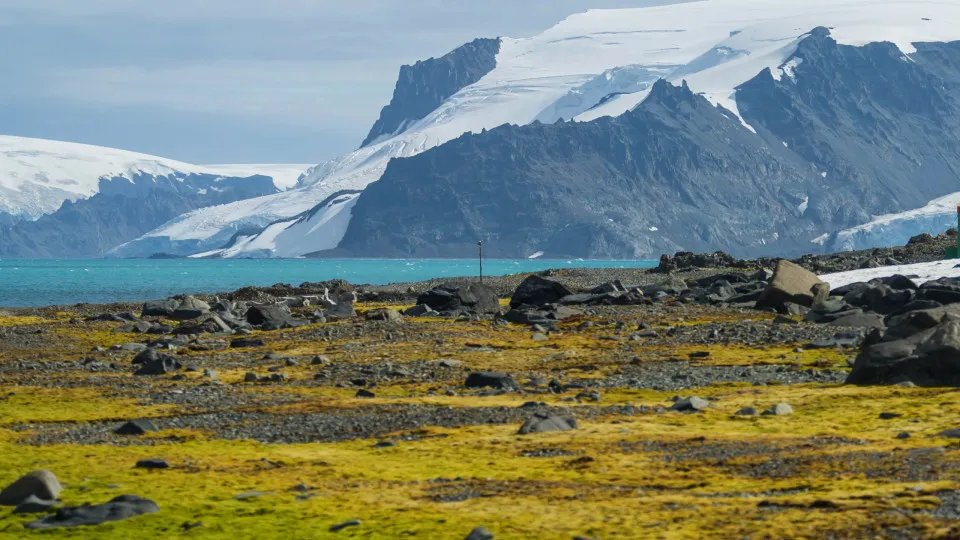 Discoloration: how climate change is affecting the color of nature