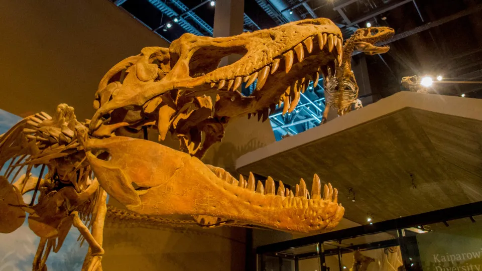 What science reveals about dinosaurs: facts and discoveries