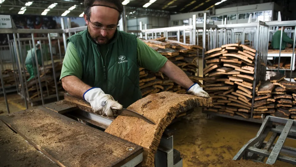 Cork: the world's most versatile and sustainable natural material