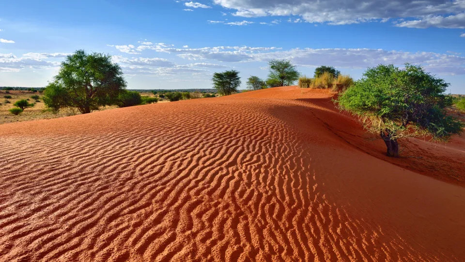 Was würde passieren, wenn alle Wüsten verschwinden würden?