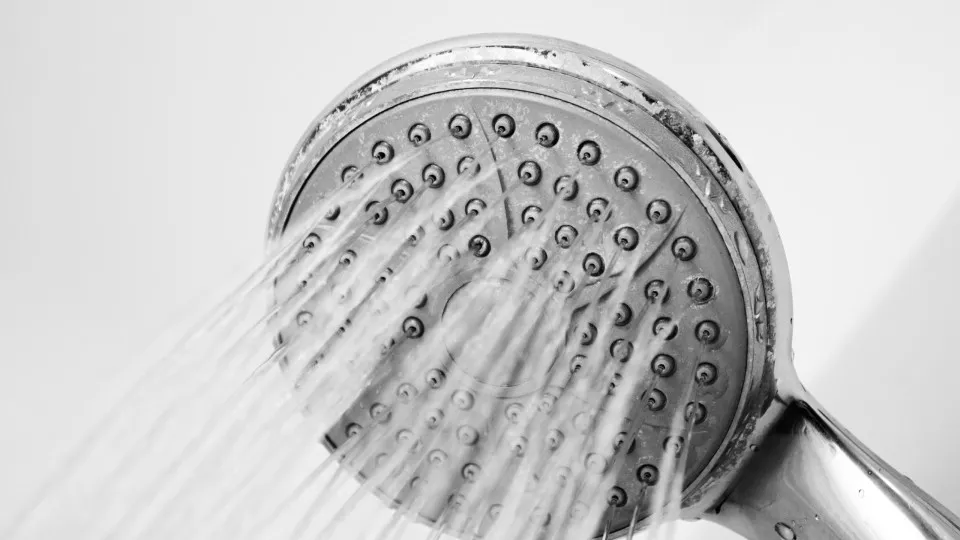 Your shower head may be full of bacteria, but how much should you actually worry?