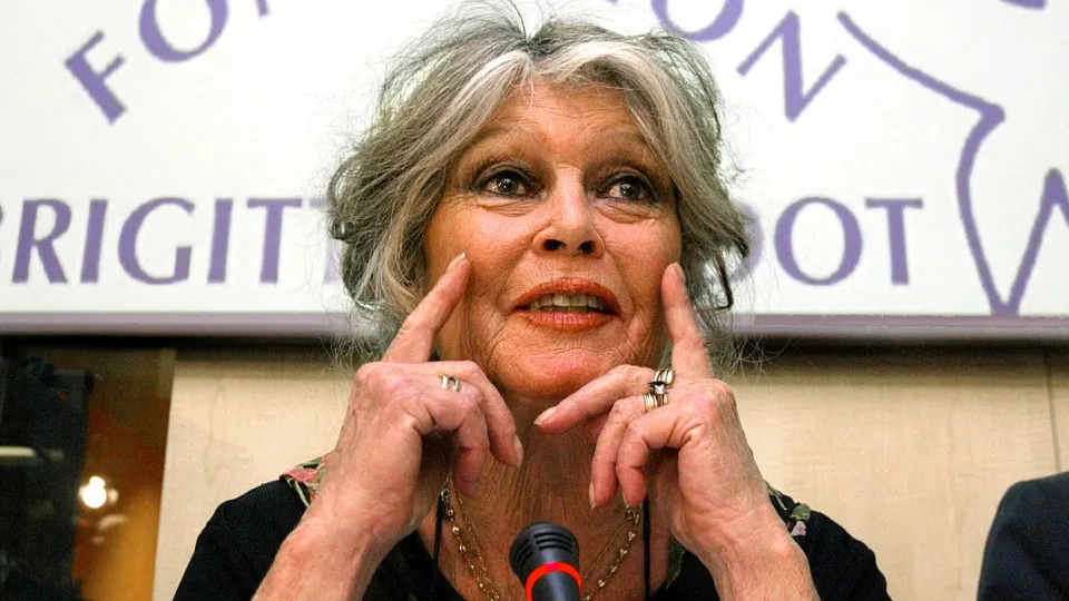 Brigitte Bardot, 91, hospitalized with serious illness