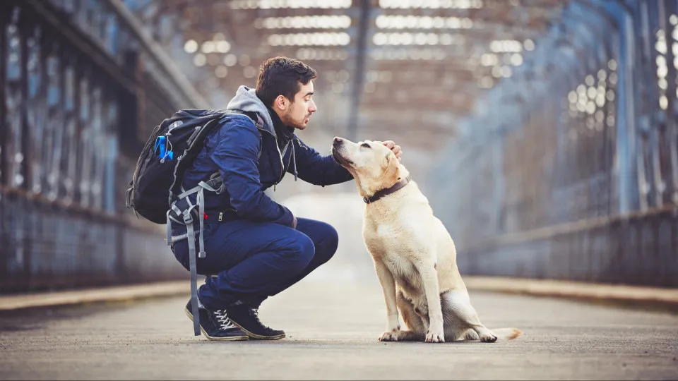 Comment aider votre chien à vivre plus longtemps, selon la science