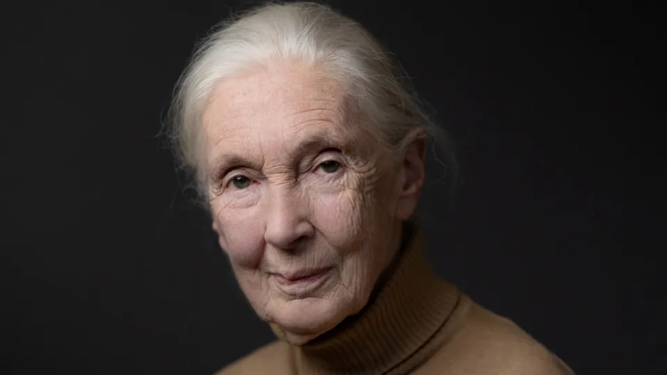 Jane Goodall's cause of death revealed