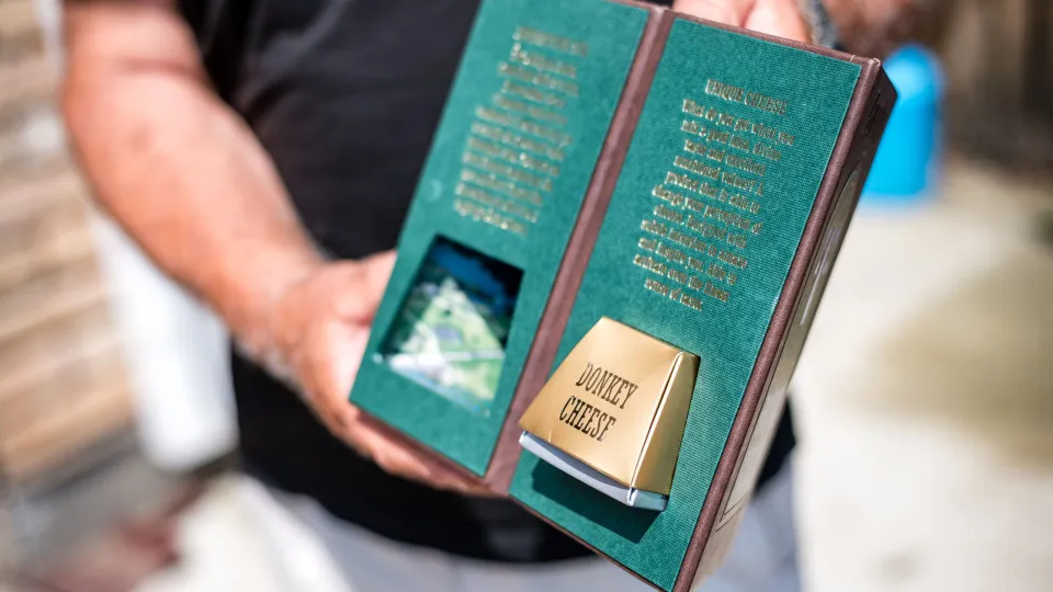 Le fromage le plus cher du monde : qu’est-ce qui le rend si exceptionnel ?