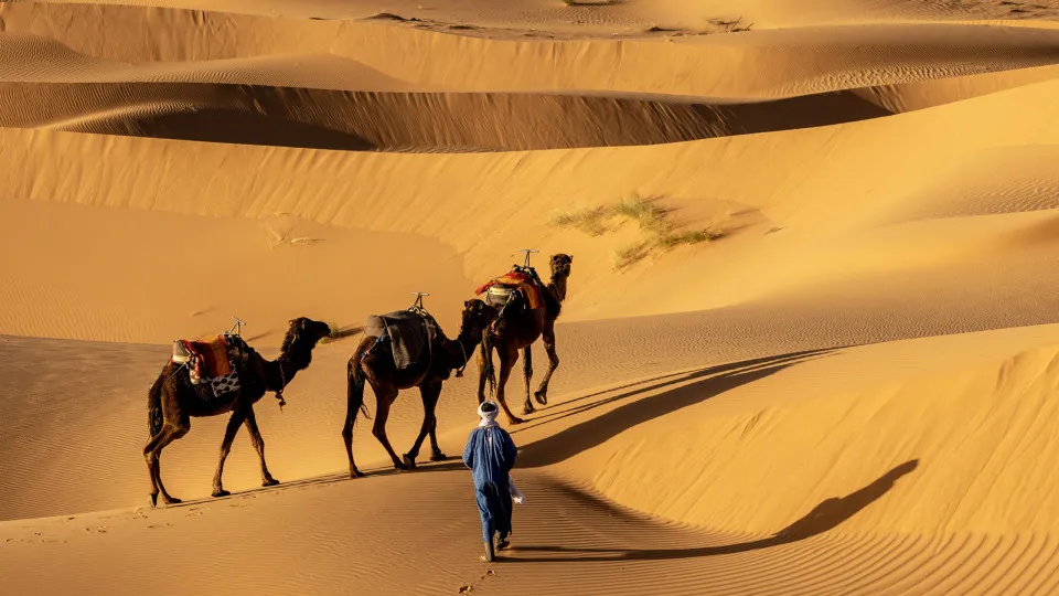Fascinating facts about the Sahara desert
