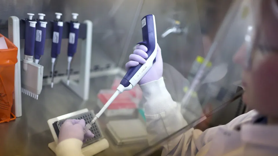 First US human bird flu case in 9 months confirmed