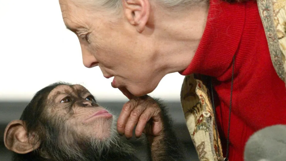 Scientists trace back the origins of kissing