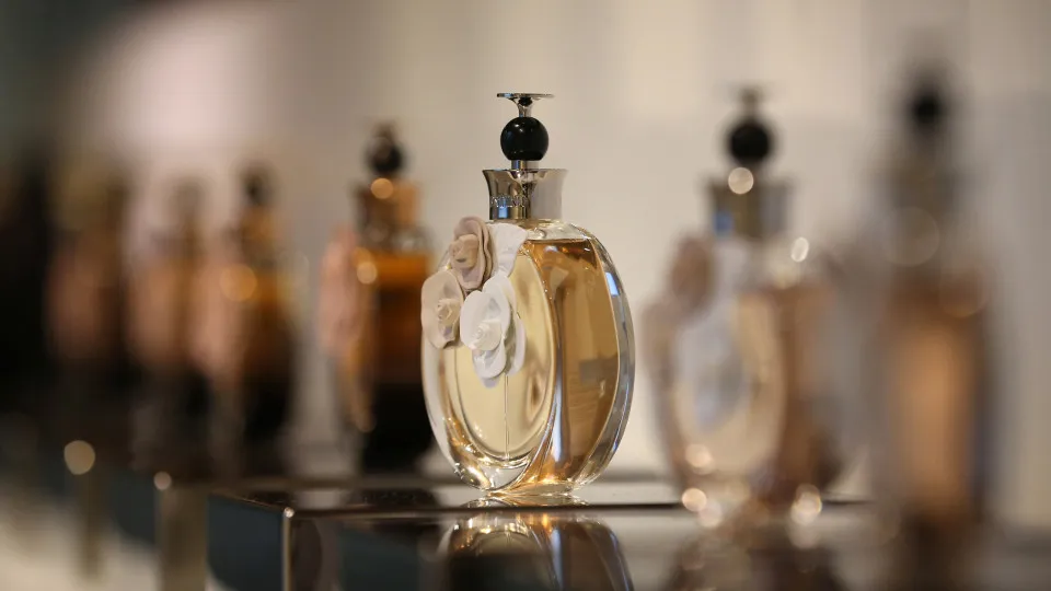 Why does perfume smell so good?