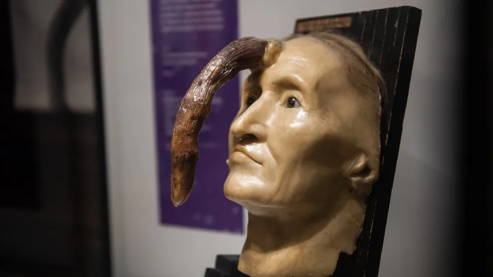 The world’s creepiest museums