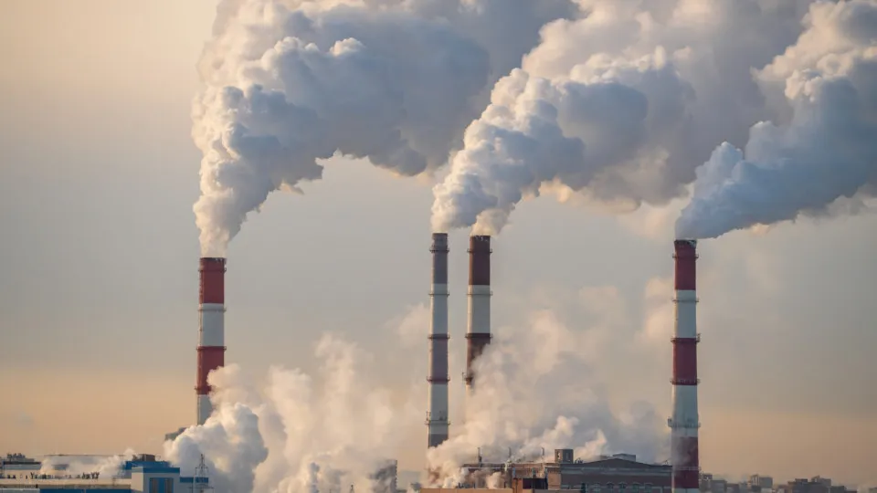 How the 'carbon footprint' was invented