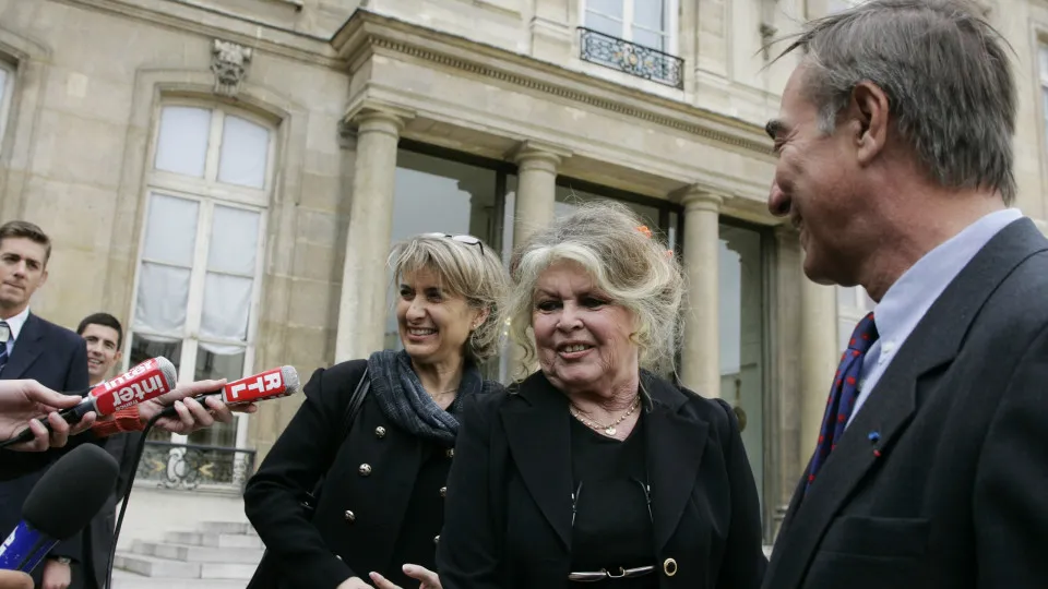 Brigitte Bardot rushed to hospital again, continues to battle illness