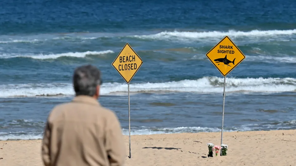 Woman killed, man injured in rare double shark attack in Australia