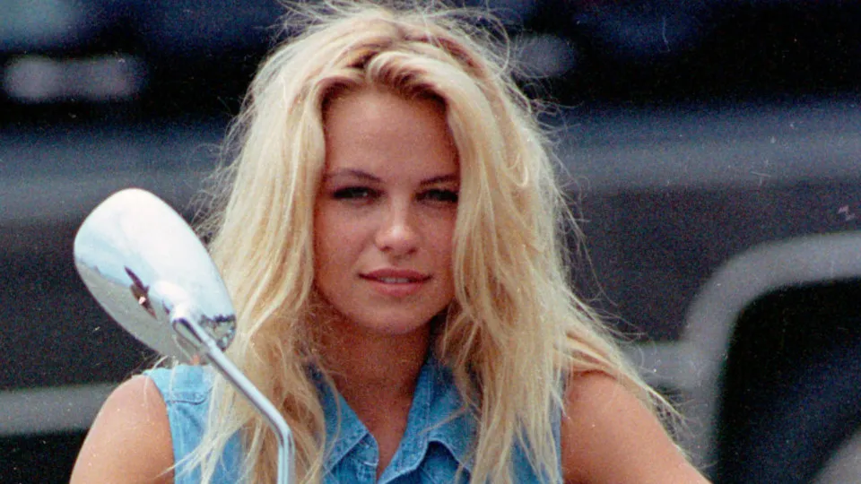 Gli alti e bassi di Pamela Anderson