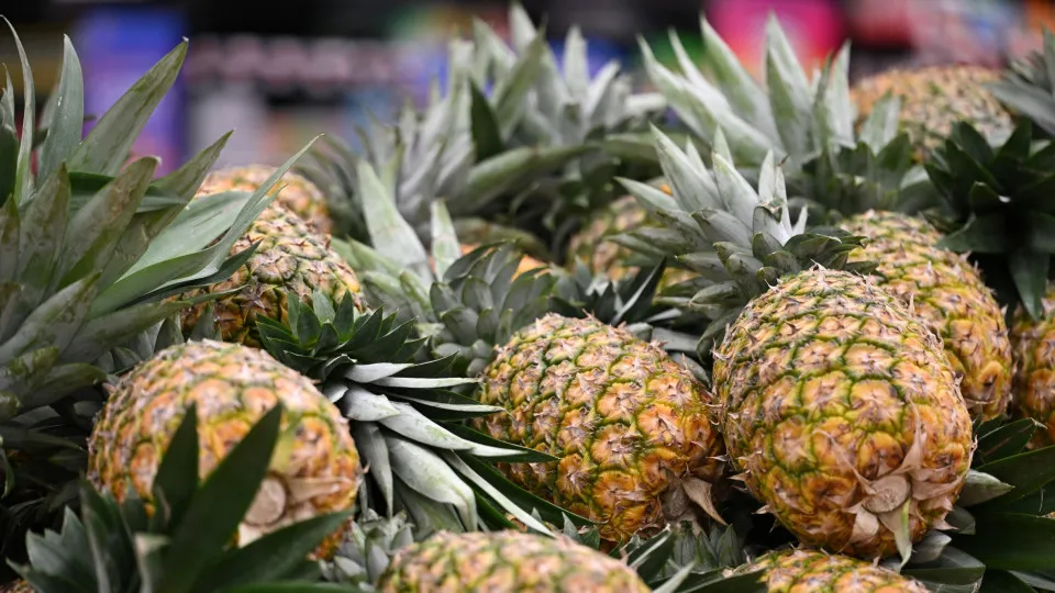 The best foods to combat bloating