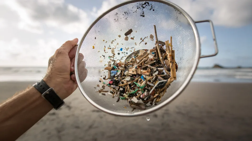 Cała prawda o mikroplastiku