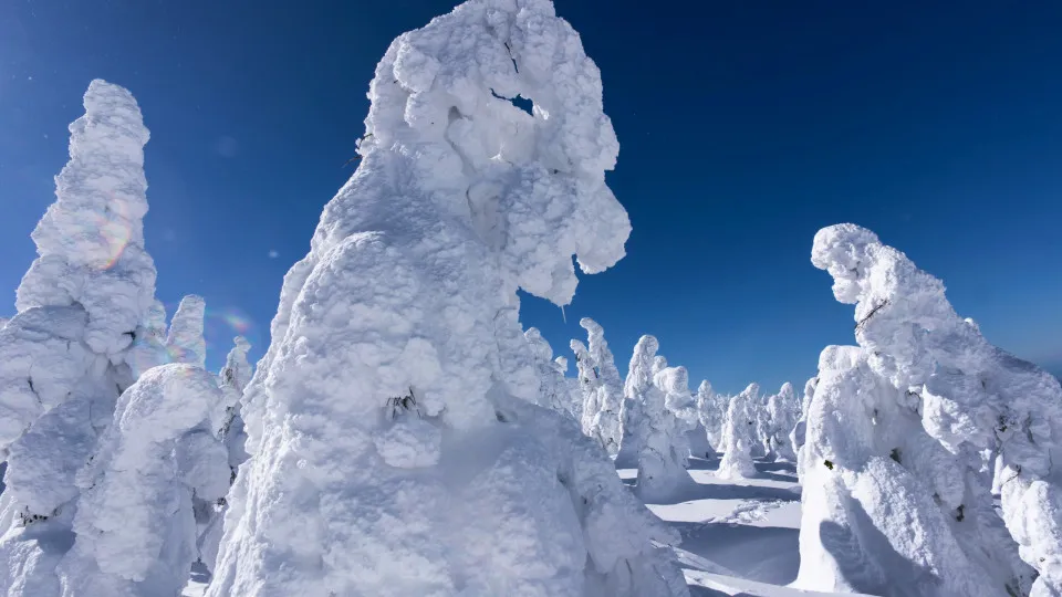 日本の「スノーモンスター」とは何？そして消えつつある理由とは？