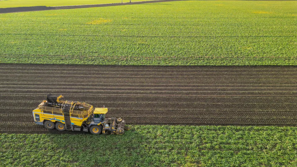 Países que dedicam a maior parte de suas terras à agricultura e pecuária