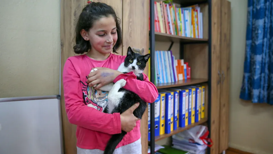 Cat or dog person? It says more than you think