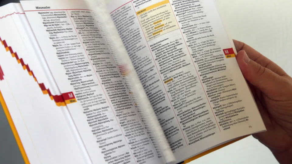 Nya ord i den engelska ordboken 2025