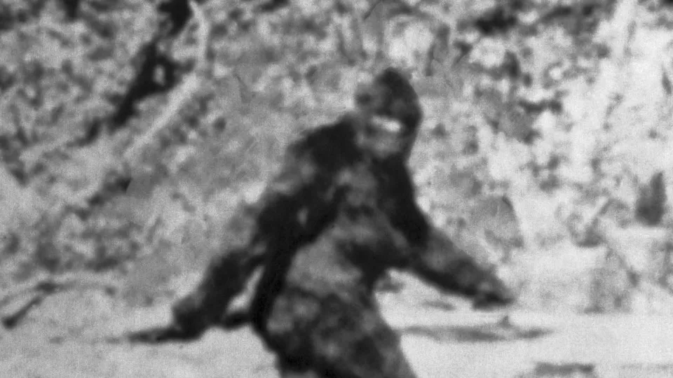 Famous folklore monsters that might live in America