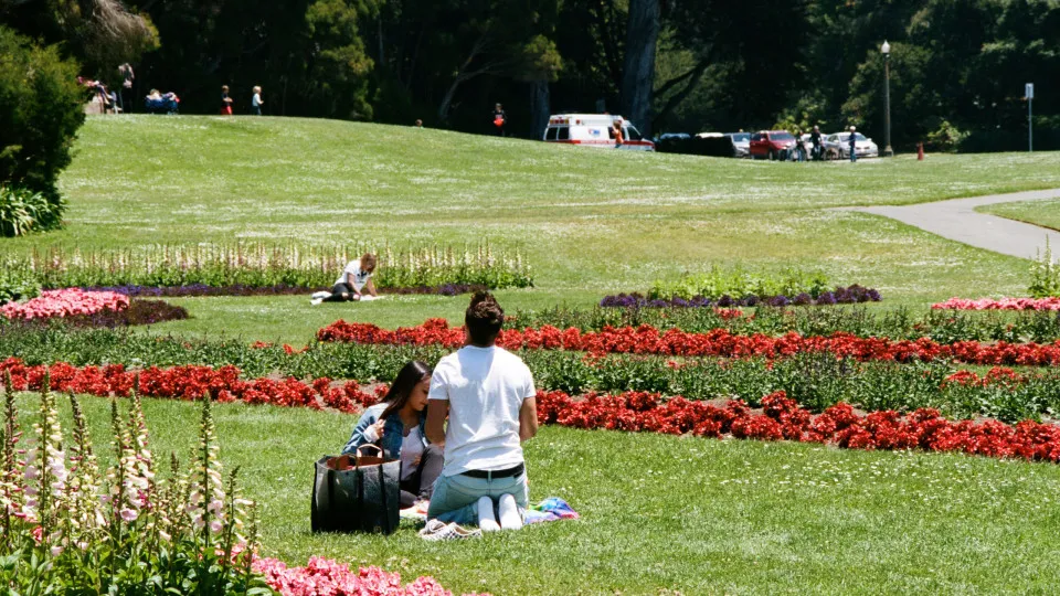 "Nice" things people do that are actually annoying