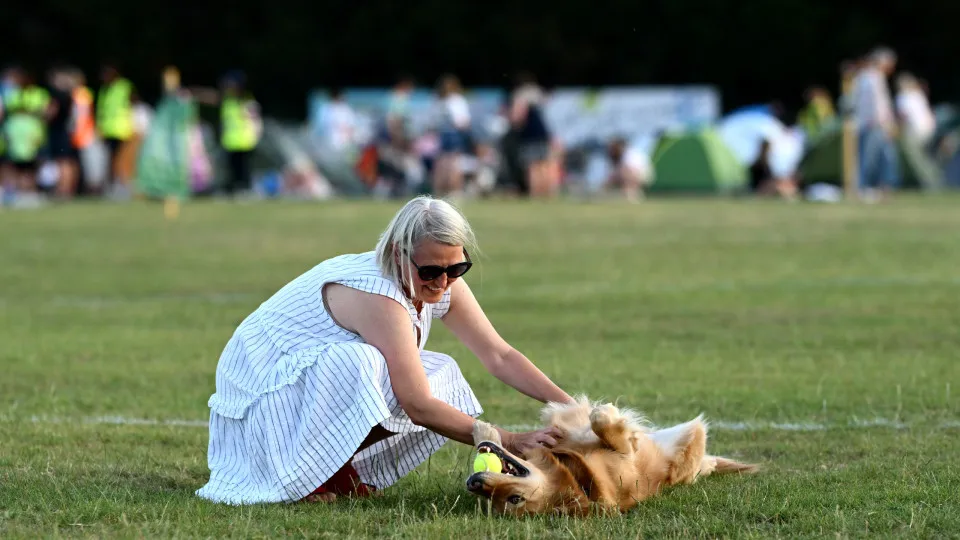Science confirms: your brain thinks your dog is a baby